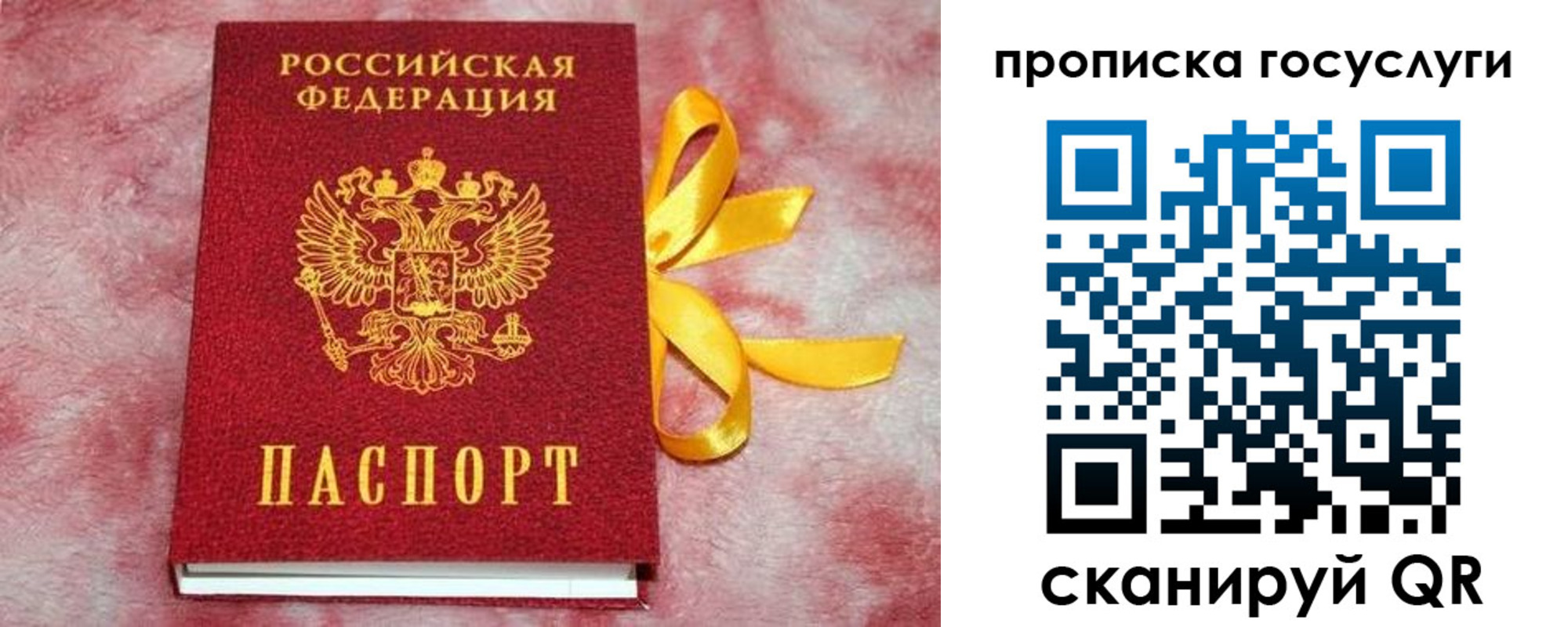 прописка законно в Волосово